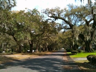 The Oaks Avenue image. Click for full size.