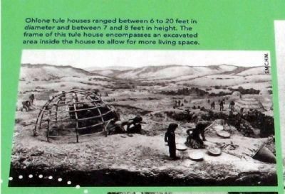 Sketch Displayed on Marker. Click for full size. Sketch Displayed on Marker image. Click for full size.