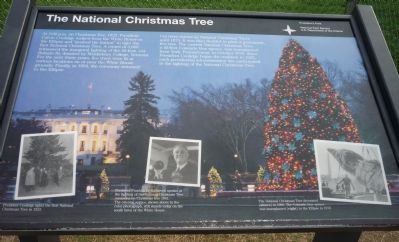 The National Christmas Tree Marker. Click for full size. The National Christmas Tree Marker image. Click for full size.