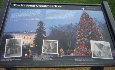 The National Christmas Tree Marker image. Click for full size.