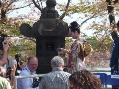 Japanese Stone Lantern - Annual Lighting Ceremony during the National Cherry Blossum Festival image. Click for full size.