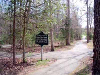 Old Coal Pit Railroad Bed (facing south). Click for full size. Old Coal Pit Railroad Bed (facing south) image. Click for full size.