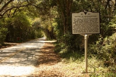 Riversville / Battle of Secessionville Marker, looking back west along Fort Lamar Road image. Click for full size.