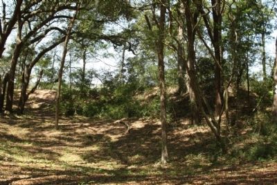 Confederate earthworks, as mentioned, part of Fort Lamar image. Click for full size.