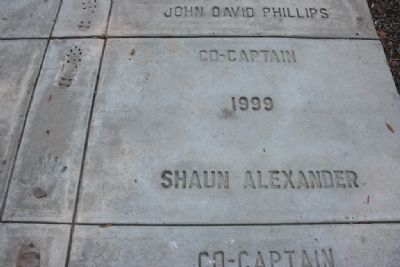 1999 Co-Captain Shaun Alexander (Alabama Football Captains Walk of Fame). Click for full size. 1999 Co-Captain Shaun Alexander (Alabama Football Captains Walk of Fame) image. Click for full size.