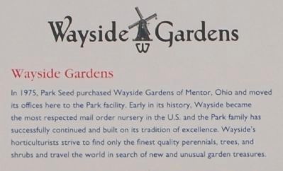 Park’s -<br>Wayside Gardens. Click for full size. Park’s -<br>Wayside Gardens image. Click for full size.