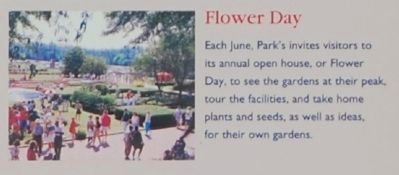 Parks -<br>Flower Day image. Click for full size.