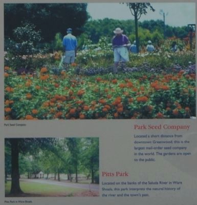 Greenwood County -<br>Park See Company and Pitts Park. Click for full size. Greenwood County -<br>Park See Company and Pitts Park image. Click for full size.