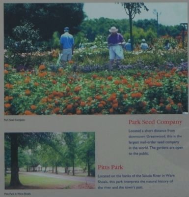 Greenwood County -<br>Park See Company and Pitts Park image. Click for full size.