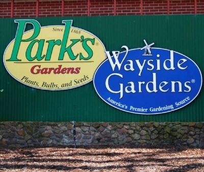 Park’s Seed / Wayside Gardens. Click for full size. Park’s Seed / Wayside Gardens image. Click for full size.