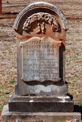 Seabrown Bellinger Canaday<br>(1813-1832) Tombstone image. Click for full size.
