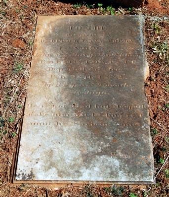 Frederick Gary Thomas Suber (1849-1852) Tombstone image. Click for full size.