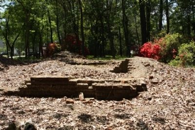 Archdale Hall ruins image. Click for full size.