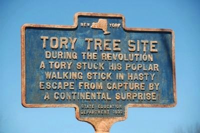 Tory Tree Site Marker image. Click for full size.