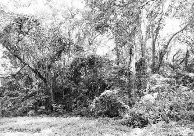 Battery Cheves. Click for full size. Battery Cheves image. Click for full size.