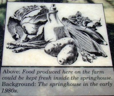 Detail From the Marker. Click for full size. Detail From the Marker image. Click for full size.