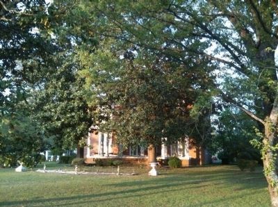 "The Magnolias" image. Click for full size.