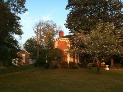 "The Magnolias" image. Click for full size.