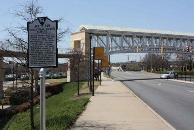 Celia Dial Saxon School Marker looking west along Blossom Street. Click for full size. Celia Dial Saxon School Marker looking west along Blossom Street image. Click for full size.