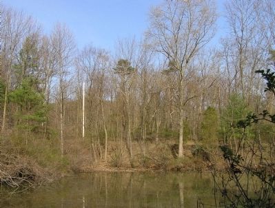 The site of Fort Henry image. Click for full size.