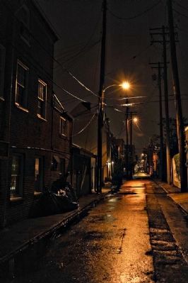 Fells Point Alley (Many a drunken sailor made his way down this path) image. Click for full size.