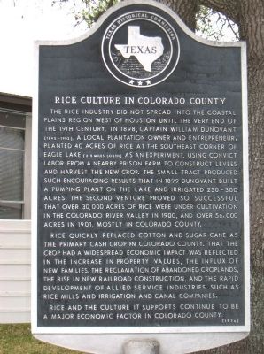Rice Culture in Colorado County Marker image. Click for full size.