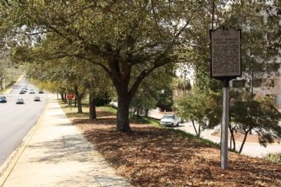 Early Howard School Site Marker, looking west along Hampton Street image. Click for full size.