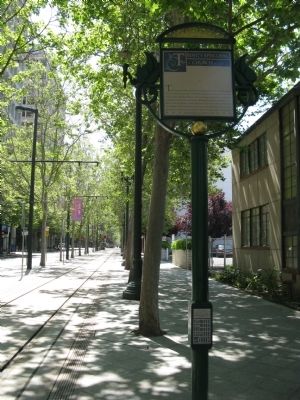 Trinity Episcopal Church Marker. Click for full size. Trinity Episcopal Church Marker image. Click for full size.