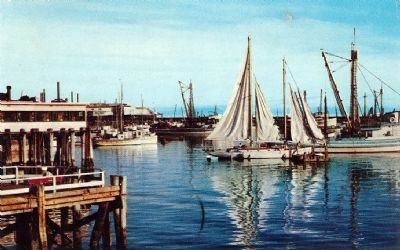 Postcard view of Monterey Harbor (undated) image. Click for full size.