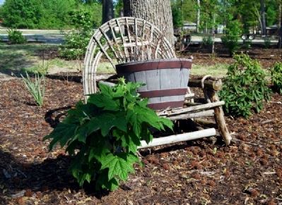 Sitting in the Shade. Click for full size. Sitting in the Shade image. Click for full size.