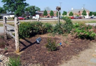 South Carolina Fence Garden<br>Maintained by the Mauldin Garden Club. Click for full size. South Carolina Fence Garden<br>Maintained by the Mauldin Garden Club image. Click for full size.