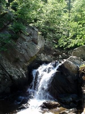 Scotts Run Nature Preserve. Click for full size. Scotts Run Nature Preserve image. Click for full size.