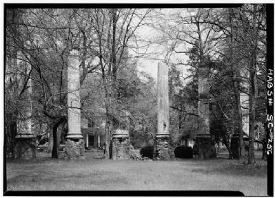 Woodlands and Millwood , Millwood Ruins image. Click for full size.