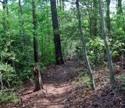 Berry's Mill Pond - Yellow Trail. Click for full size. Berry's Mill Pond - Yellow Trail image. Click for full size.