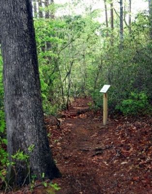 Berry's Mill Pond - Yellow Trail. Click for full size. Berry's Mill Pond - Yellow Trail image. Click for full size.