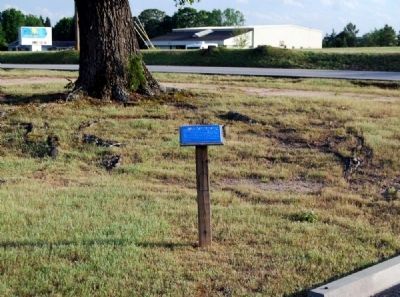 The Old Oak Tree Marker -<br>Holland Road in Background image. Click for full size.
