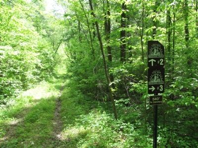 Road to the tavern & cemetery with directional markers. image. Click for full size.