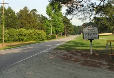 Wide view of the Gallberry Marker image. Click for full size.