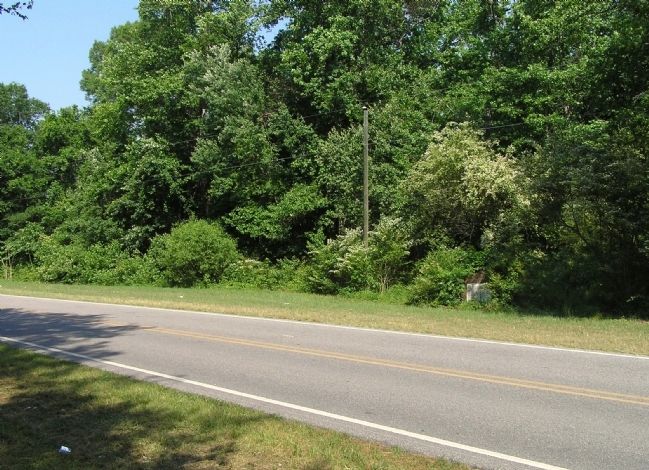 Site of McPhaul’s Mill. Click for full size. Site of McPhaul’s Mill image. Click for full size.