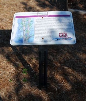 Historic River Cane Marker. Click for full size. Historic River Cane Marker image. Click for full size.