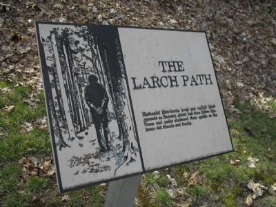 The Larch Path Marker image. Click for full size.