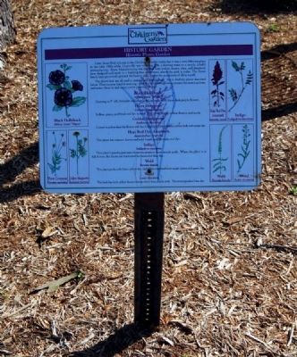 Linky Stone Park Marker. Click for full size. Linky Stone Park Marker image. Click for full size.