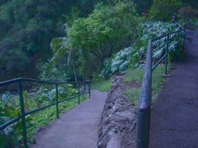 ʻĪao State Park, hikers' trail near the Kūkaemoku Marker image. Click for full size.