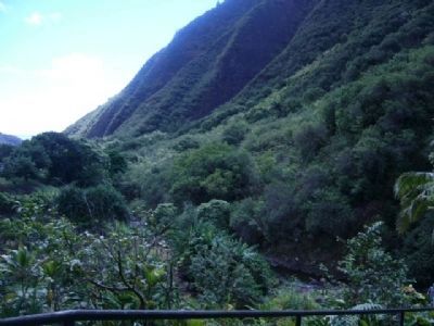 ʻĪao Valley stream bed image. Click for full size.