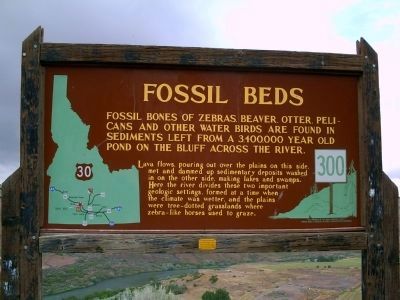 Fossil Beds Marker image. Click for full size.