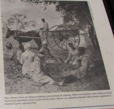Slavery at Pleasant View Farm Marker image. Click for full size.