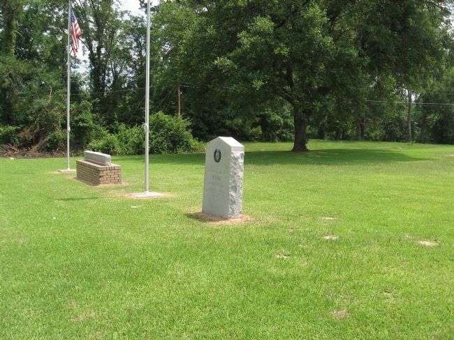 Site of the town of Homer Marker image. Click for full size.