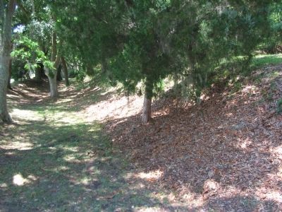 Ditch and Parapet of Battery White. Click for full size. Ditch and Parapet of Battery White image. Click for full size.
