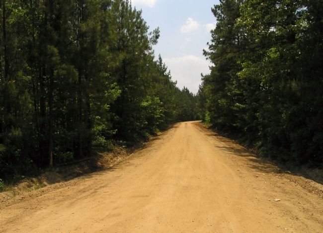 View of Old River Road. Click for full size. View of Old River Road image. Click for full size.