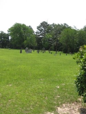 Homer Cemetery image. Click for full size.